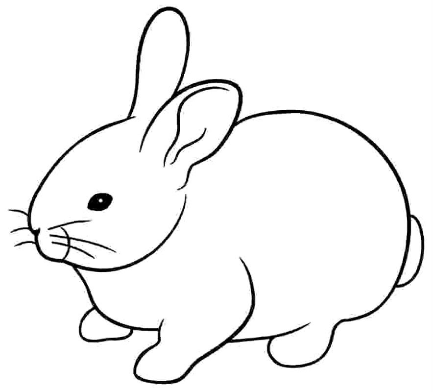 Iepurasi
