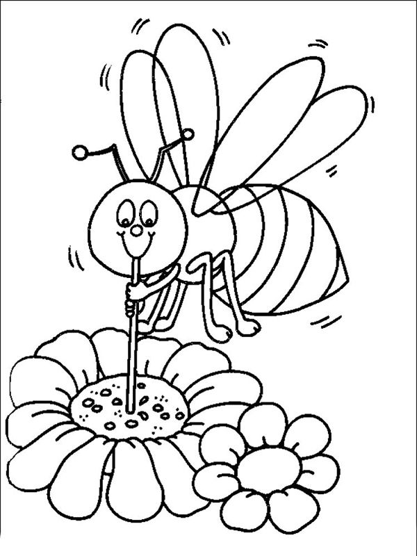 Albinuta