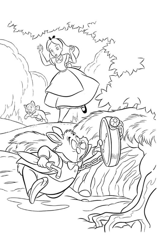 Alice in tara minunilor