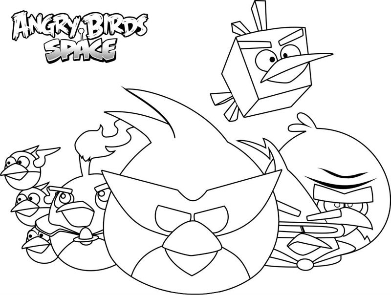 Angry birds