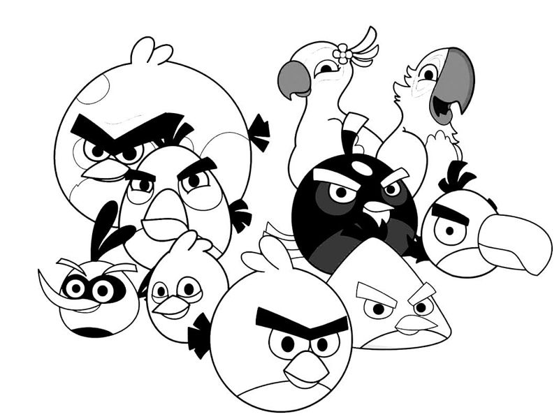 Angry birds