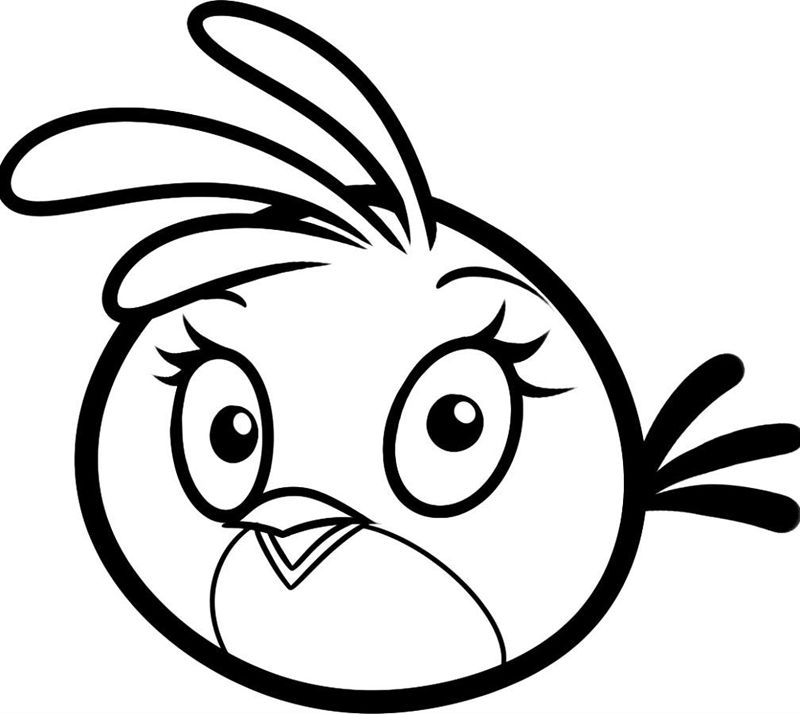 Angry birds