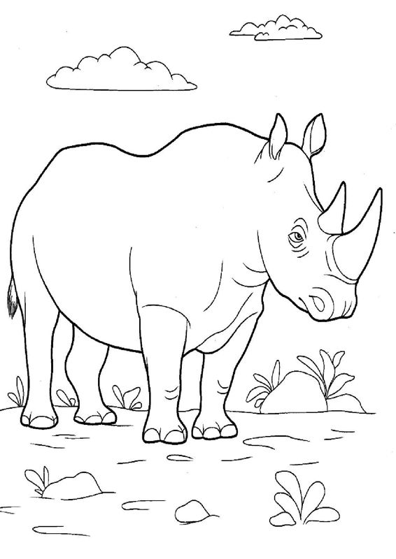 Animale salbatice