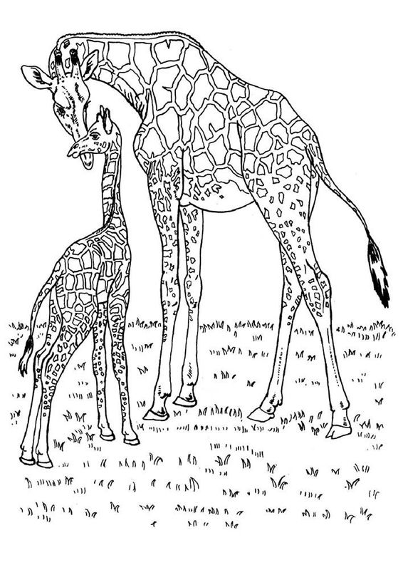 Animale salbatice