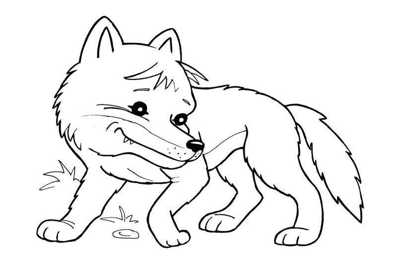 Animale salbatice