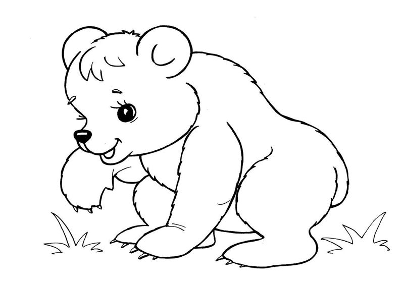 Animale salbatice