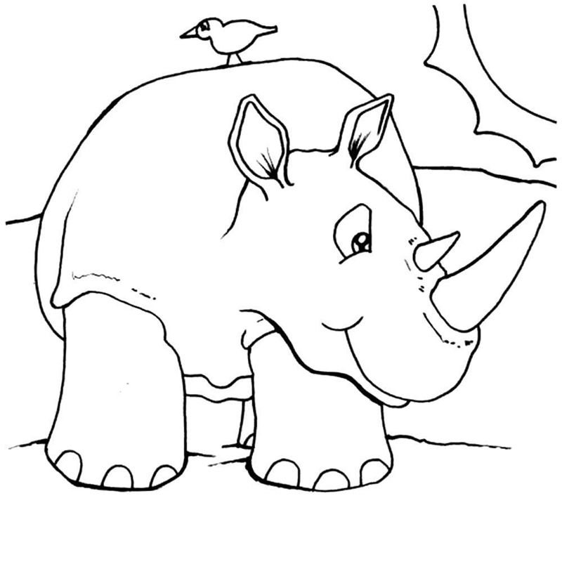 Animale salbatice