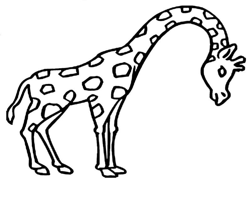 Animale salbatice