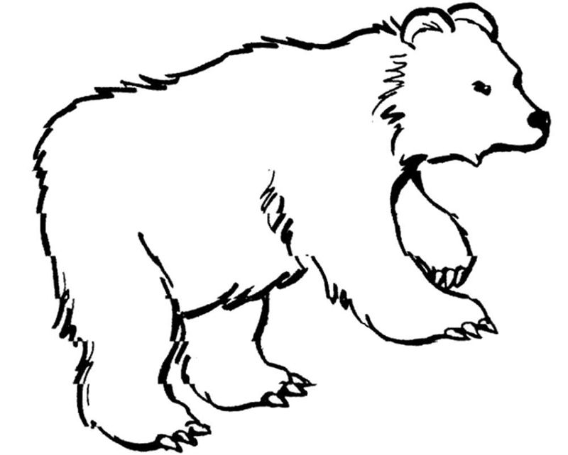 Animale salbatice