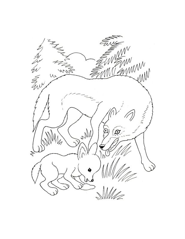 Animale salbatice