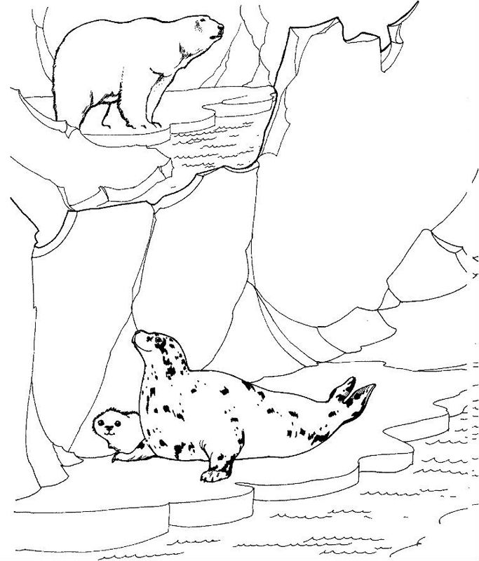 Animale de la polul nord