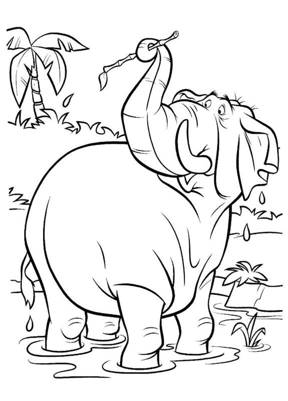 Animale din jungla