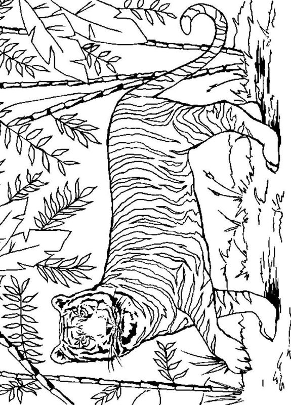 Animale din jungla