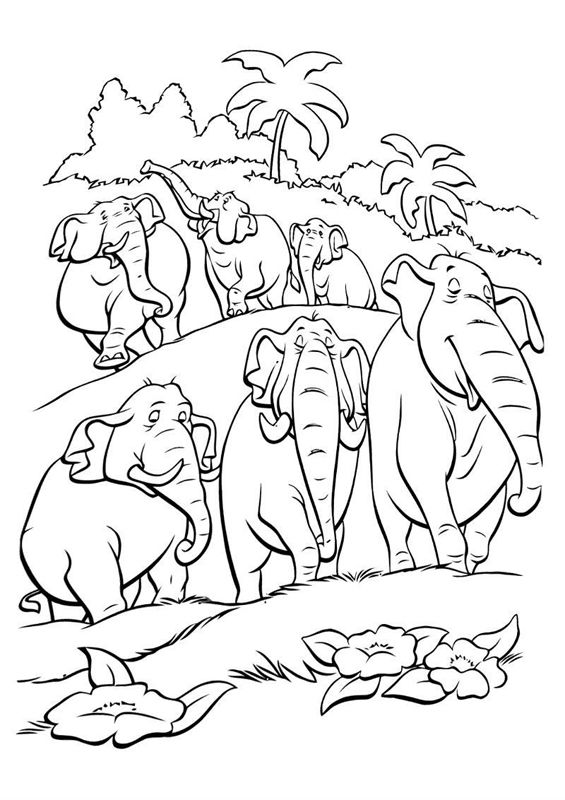 Animale din jungla