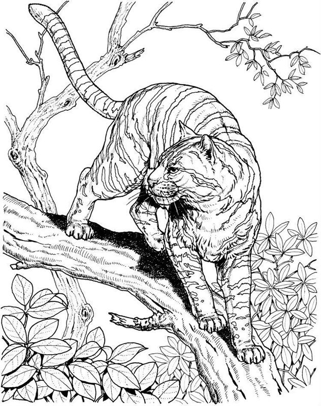 Animale din jungla