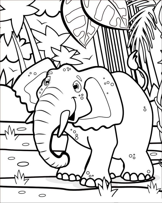 Animale din jungla