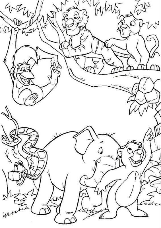 Animale din jungla