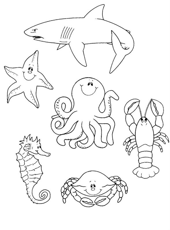Animale marine