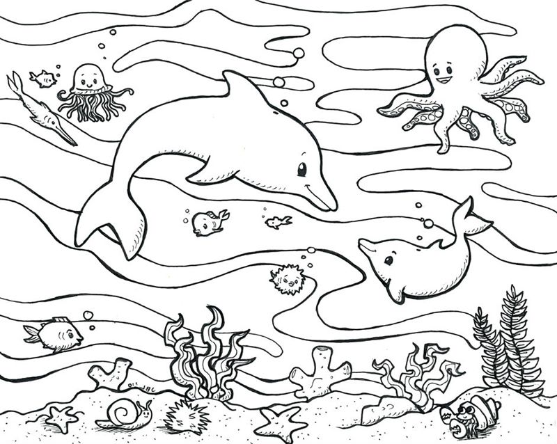 Animale marine
