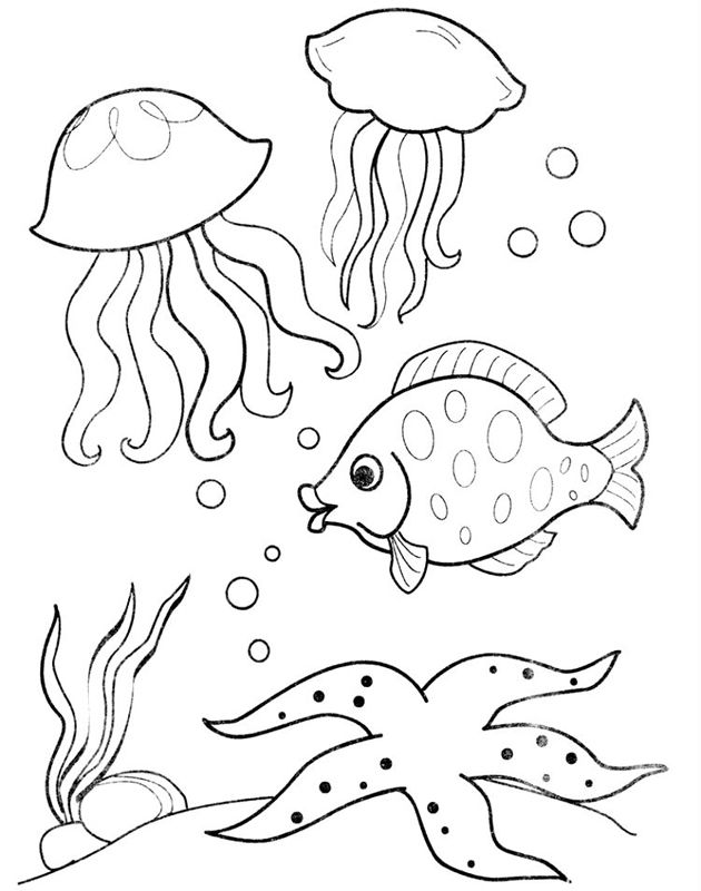 Animale marine