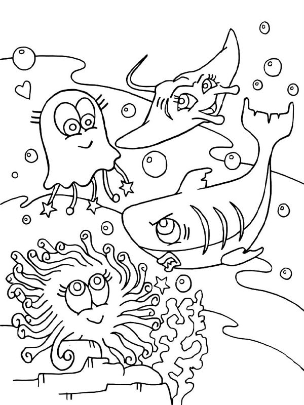 Animale marine