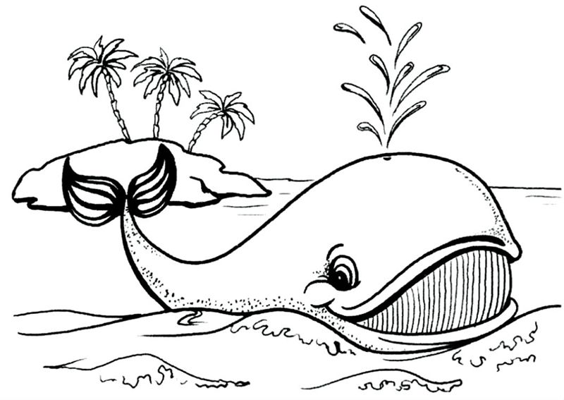 Animale marine