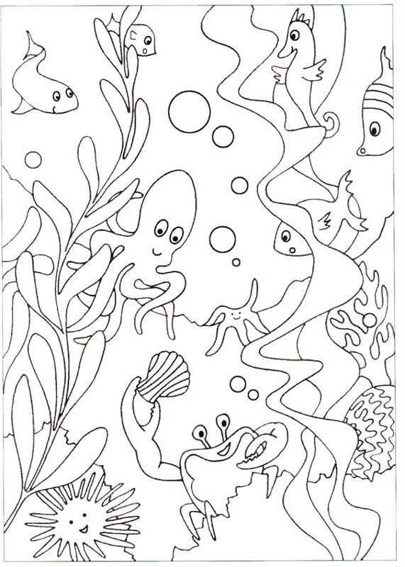 Animale marine