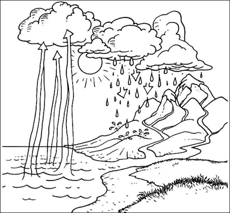 Apa in natura