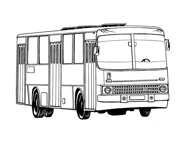 Autobuze