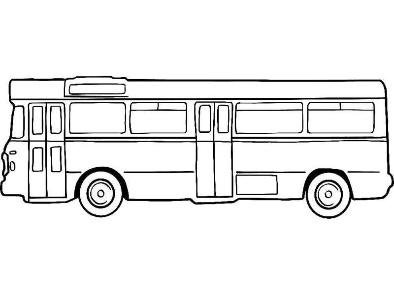 Autobuze
