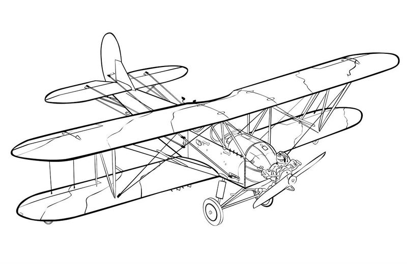 Avioane