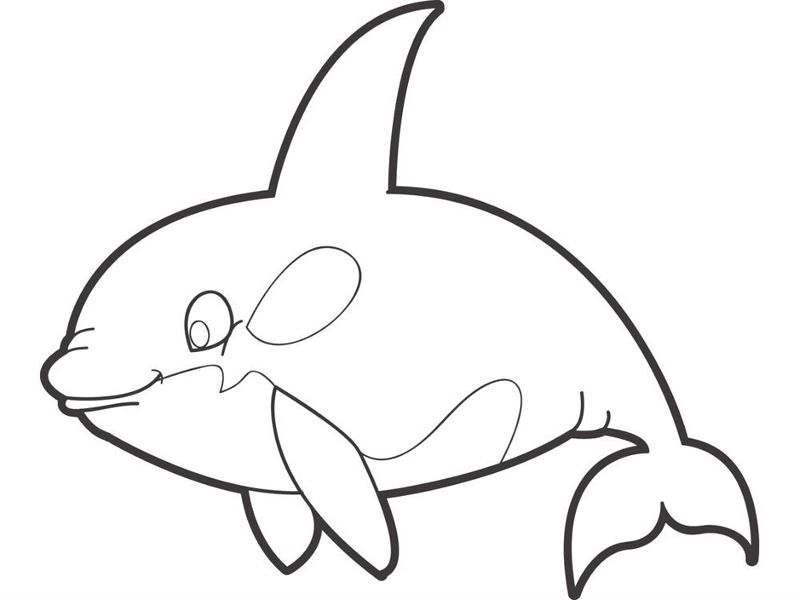Balena Orca