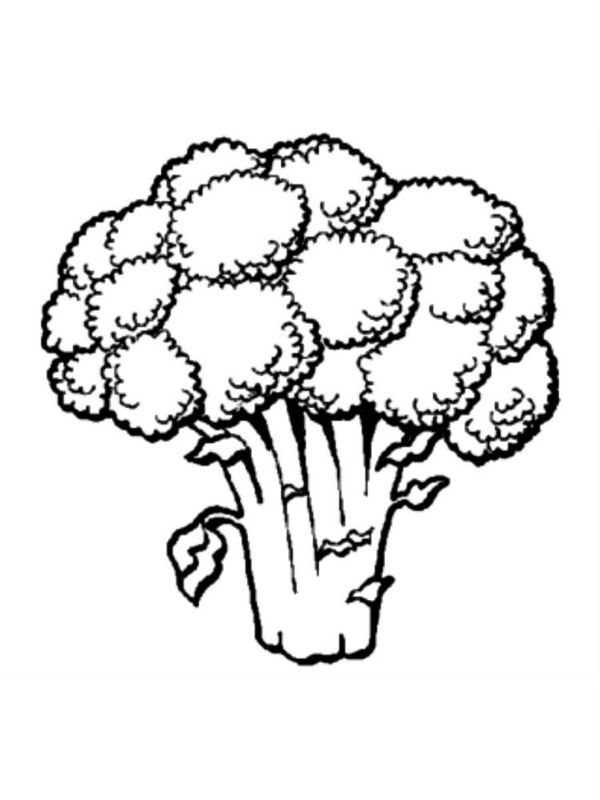 Broccoli