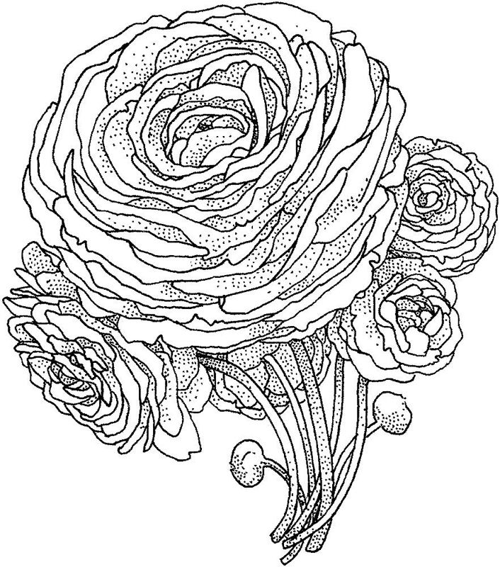 Bujori