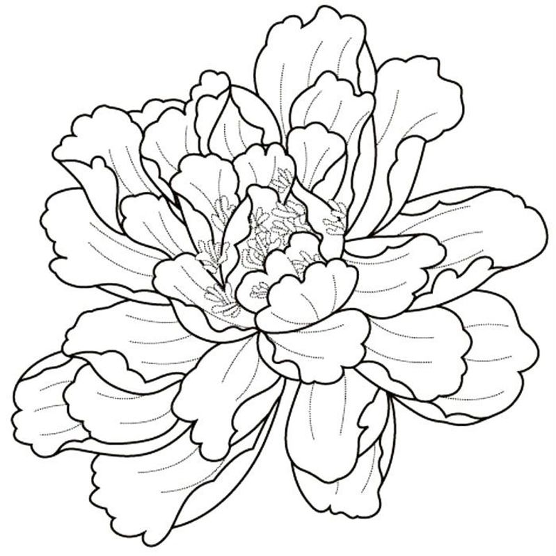 Bujori