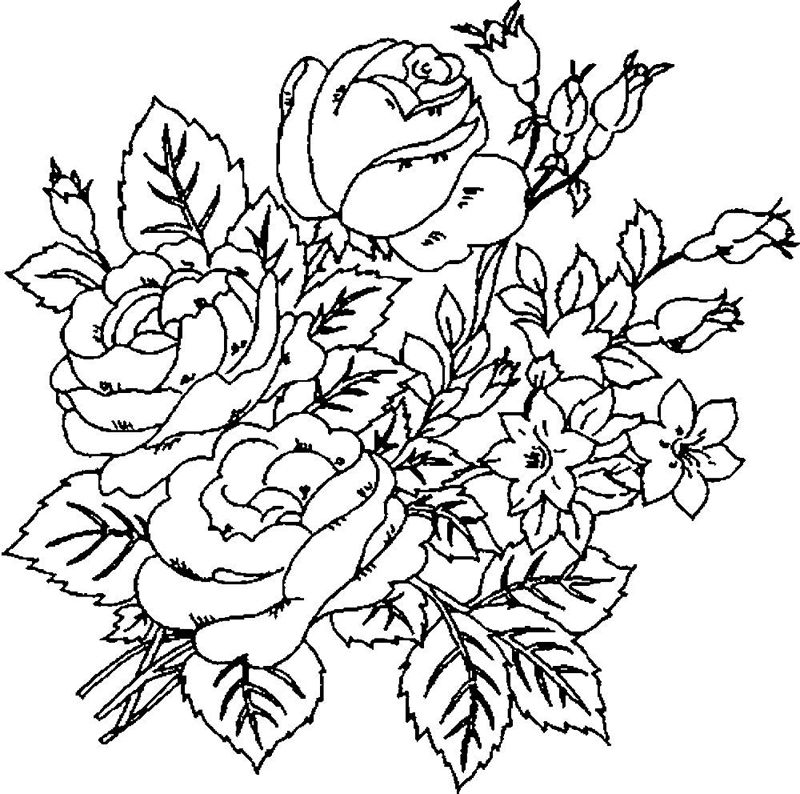 Bujori