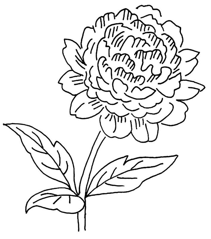 Bujori