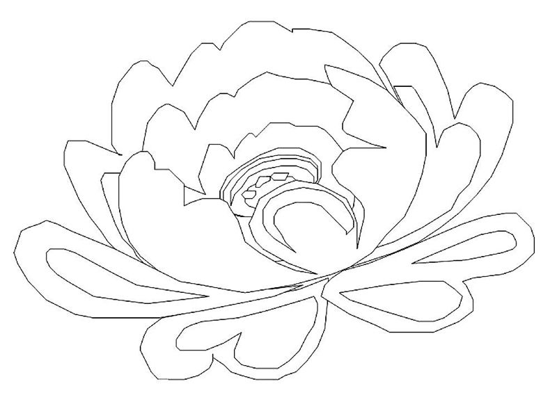 Bujori