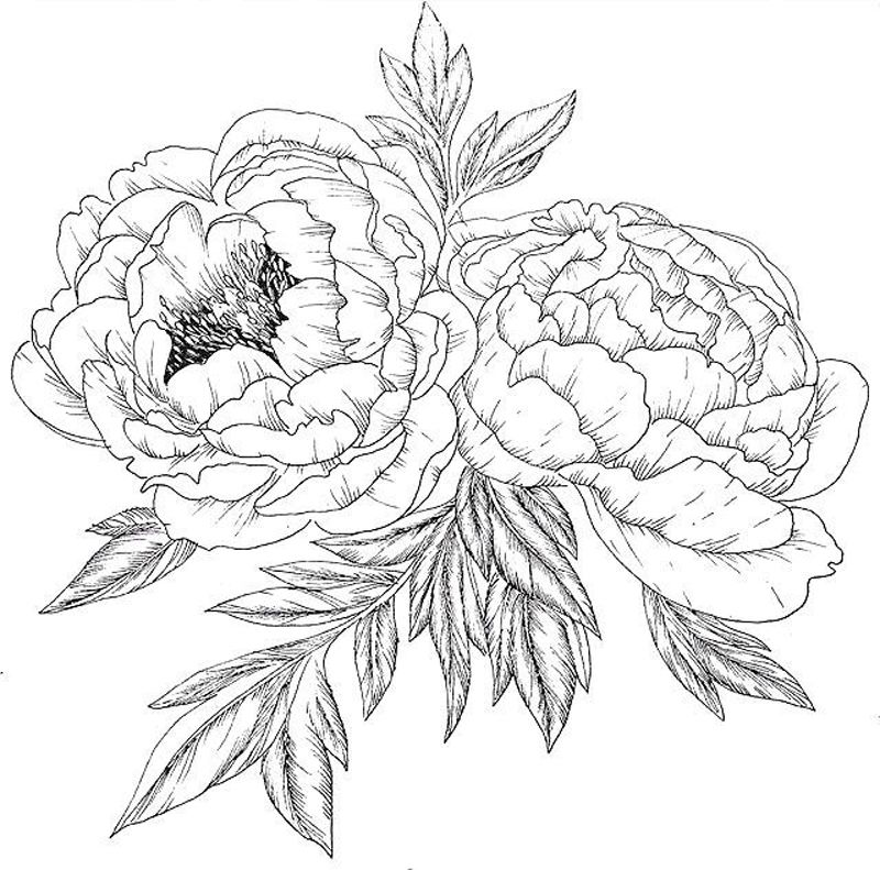 Bujori