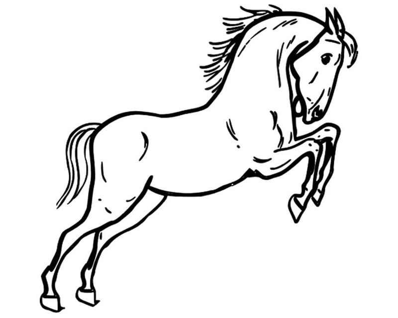 Cai