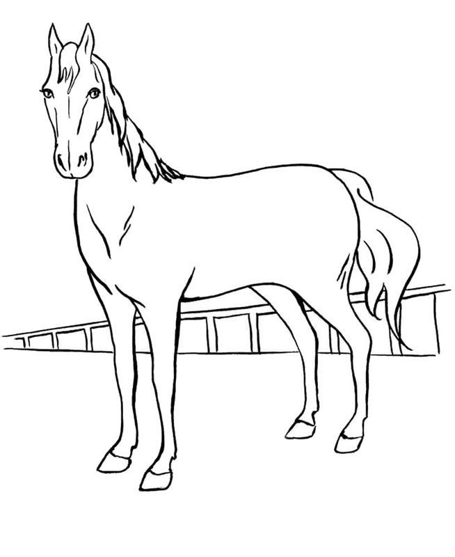 Cai