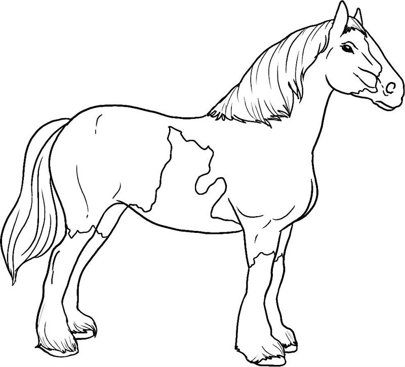 Cai