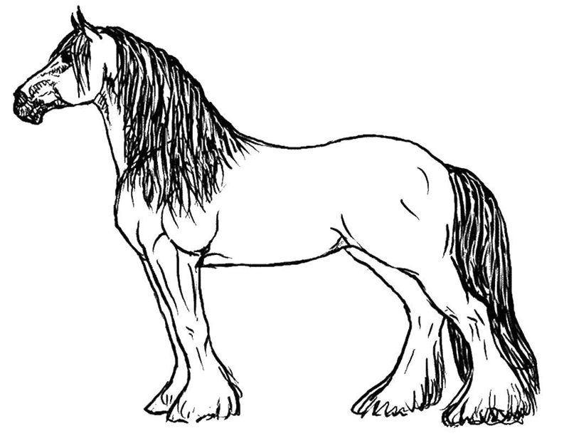 Cai