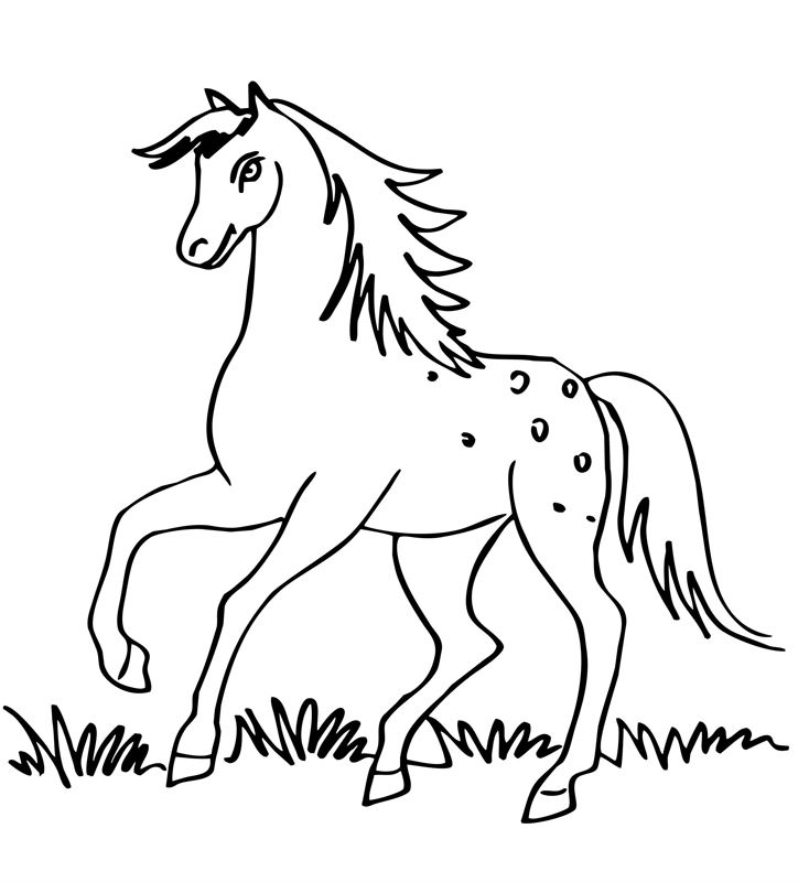 Cai