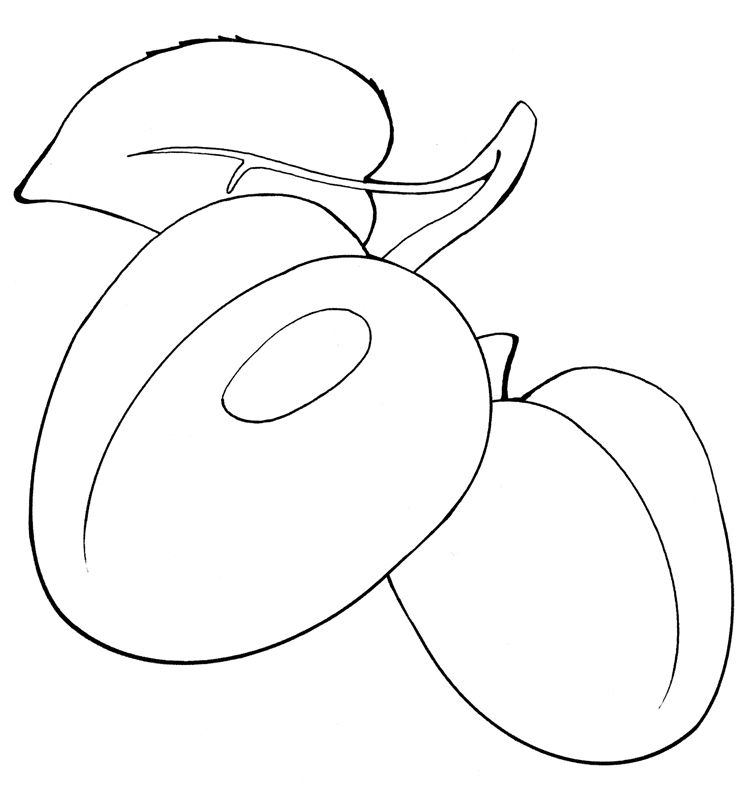 Caise