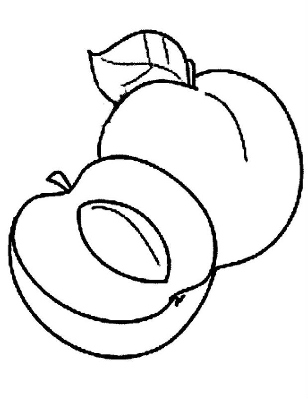 Caise