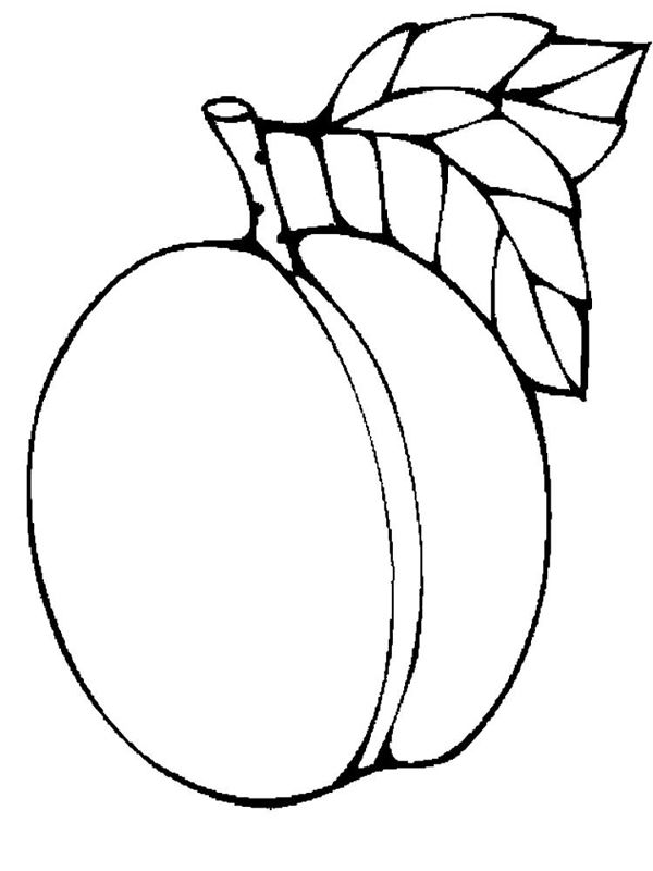 Caise