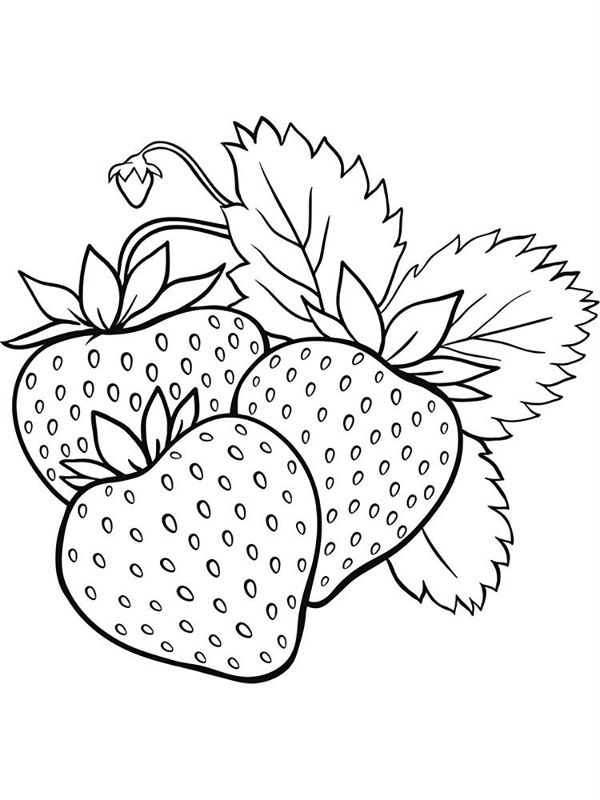 Capsune