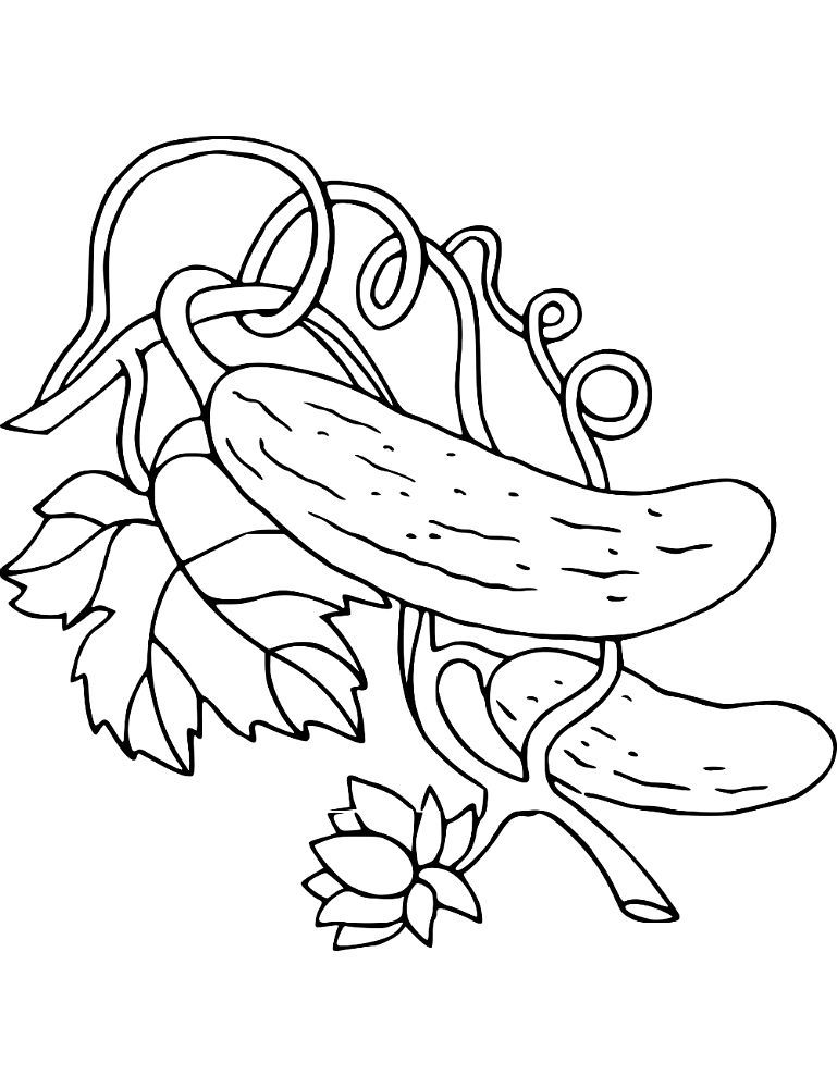 Castraveti