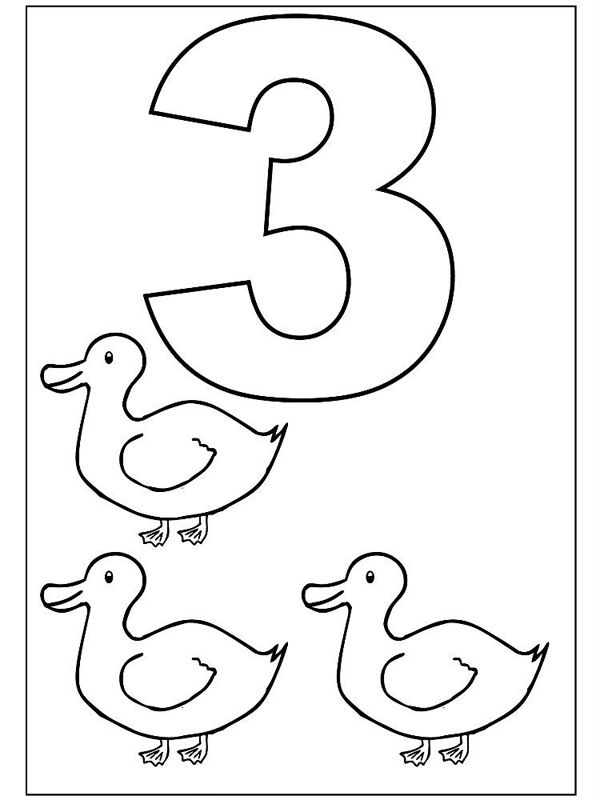 Cifra 3